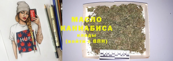 мдпв Бородино
