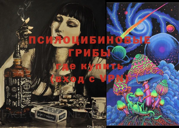 мдпв Бородино