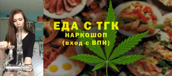 мдпв Бородино