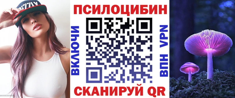 Галлюциногенные грибы Psilocybine cubensis  где купить   Кировград 