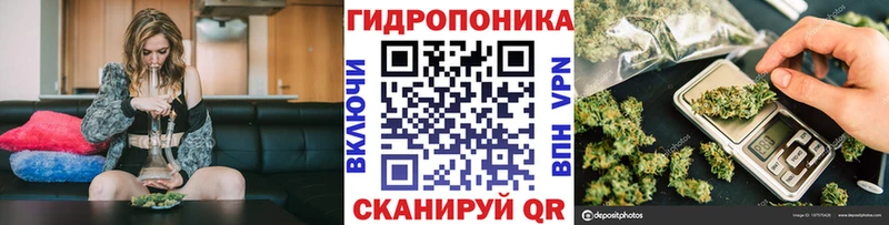 блэк спрут ONION  Кировград  Марихуана White Widow 